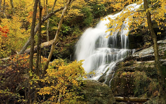 Wald, Bäume, Herbst, Felsen, Wasserfall Hintergrundbilder Bilder