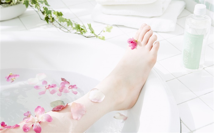 Mädchen Bein, Blütenblätter , Badewanne, SPA Thema Hintergrundbilder Bilder