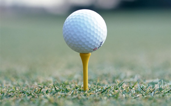 Golfball  close-up Hintergrundbilder Bilder