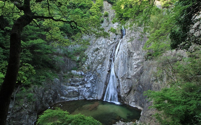 Große Natur, Wasserfälle , Klippe, See, Bäume, Hokkaido, Japan Hintergrundbilder Bilder