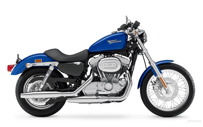 Harley-Davidson 883 Motorrad, blau und schwarz Hintergrundbilder Bilder