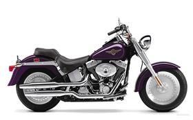 Harley-Davidson Motorrad, Fatboy HD Hintergrundbilder
