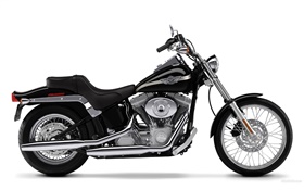 Harley-Davidson Motorrad, SOFTAILS HD Hintergrundbilder