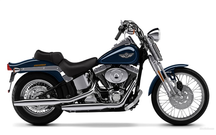 Harley-Davidson Motorrad, Springer Softail Hintergrundbilder Bilder