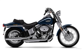 Harley-Davidson Motorrad, Springer Softail