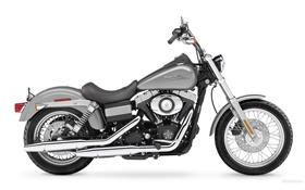 Harley-Davidson Motorrad, schwarz und grau HD Hintergrundbilder