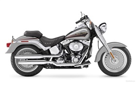Harley-Davidson Motorrad, sechs Geschwindigkeit
