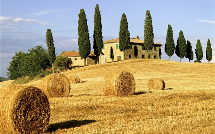 Heuhaufen, Felder, Häuser, Bäume, Italien Hintergrundbilder Bilder