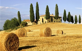 Heuhaufen, Felder, Häuser, Bäume, Italien HD Hintergrundbilder