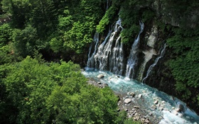Hokkaido, Japan, Wasserfälle , Bach, Klippe, Pflanzen HD Hintergrundbilder