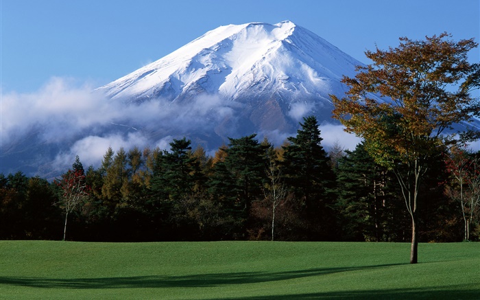 Japans Mount Fuji, Schnee, Bäume, Gras, Nebel Hintergrundbilder Bilder