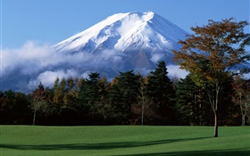 Japans Mount Fuji, Schnee, Bäume, Gras, Nebel