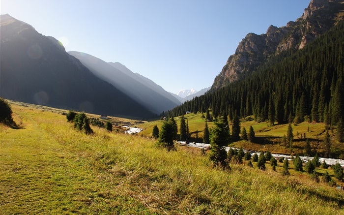 Kirgisistan, Wald, Bäume, Berge, Morgen, Gras, Fluss Hintergrundbilder Bilder