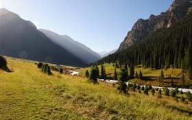Kirgisistan, Wald, Bäume, Berge, Morgen, Gras, Fluss HD Hintergrundbilder
