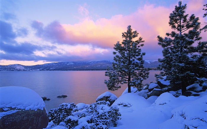 Lake Tahoe, Winter, Schnee, Bäume, Dämmerung, USA Hintergrundbilder Bilder