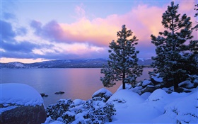 Lake Tahoe, Winter, Schnee, Bäume, Dämmerung, USA HD Hintergrundbilder