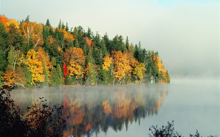 See, Bäume, Nebel, Morgen, Herbst Hintergrundbilder Bilder