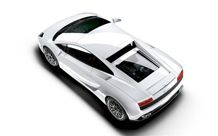 Lamborghini weißes Auto Draufsicht Hintergrundbilder Bilder