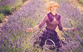 Lavendelblüten  Feld, blonde Mädchen, Hut, Korb HD Hintergrundbilder