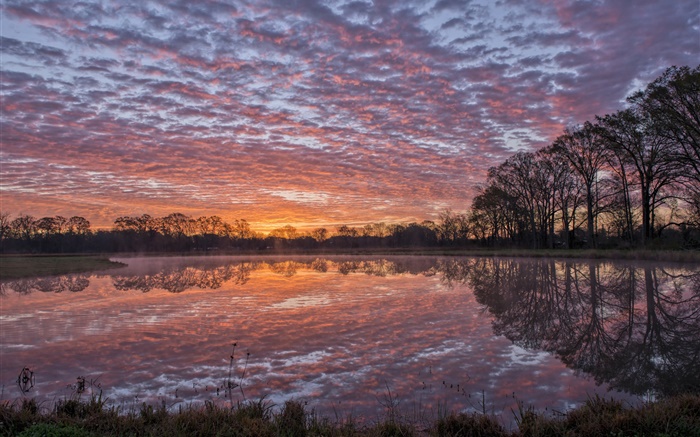 Louisiana USA, Fluss, Ufer, Wasser Reflexion, Bäume, Wolken, Sonnenuntergang Hintergrundbilder Bilder