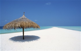 Malediven, Strand, Meer, Markise HD Hintergrundbilder