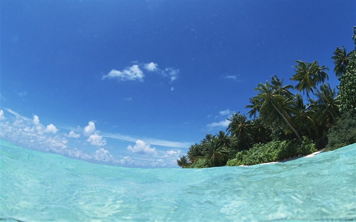Malediven, blaues Meer, Wasser, Insel Hintergrundbilder Bilder