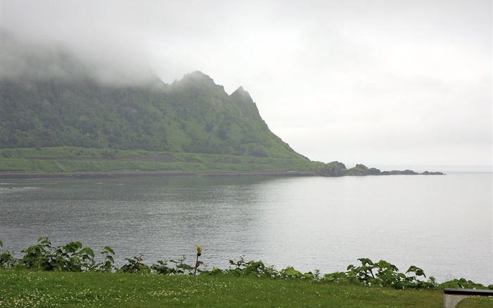 Morgen, Nebel, Berge, Meer, Küste, Gras, Hokkaido, Japan Hintergrundbilder Bilder