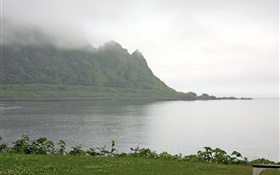 Morgen, Nebel, Berge, Meer, Küste, Gras, Hokkaido, Japan HD Hintergrundbilder