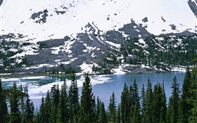 Berg, Schnee, Fluss, Bäume HD Hintergrundbilder