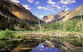 Berge, Wald, Bäume, See, Wasser Reflexion HD Hintergrundbilder
