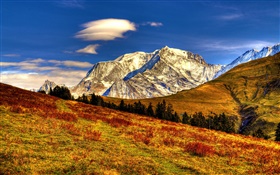 Gebirge, Gras, Bäume, Herbst, blauer Himmel HD Hintergrundbilder