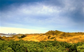Natur Landschaft, Gras, blauer Himmel, Wolken HD Hintergrundbilder