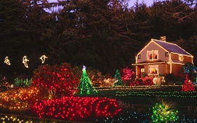 Nacht, bunte Lichter, Haus, Weihnachten HD Hintergrundbilder