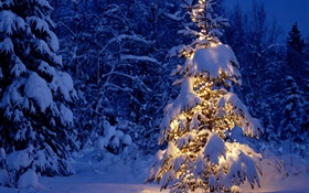 Nacht, Bäume, Lichter, dicken Schnee, Weihnachten