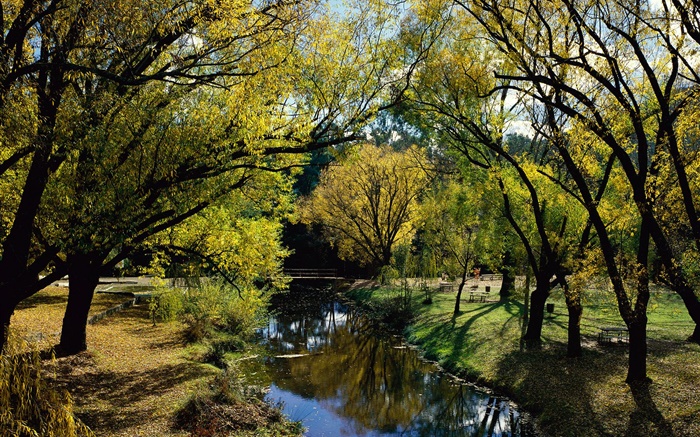 Park, Fluss, Bäume, Australien Hintergrundbilder Bilder