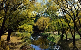 Park, Fluss, Bäume, Australien