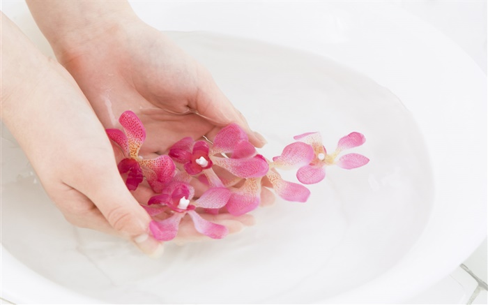 Rosa Orchidee Blütenblätter , Wasser, Hände Hintergrundbilder Bilder