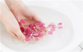 Rosa Orchidee Blütenblätter , Wasser, Hände