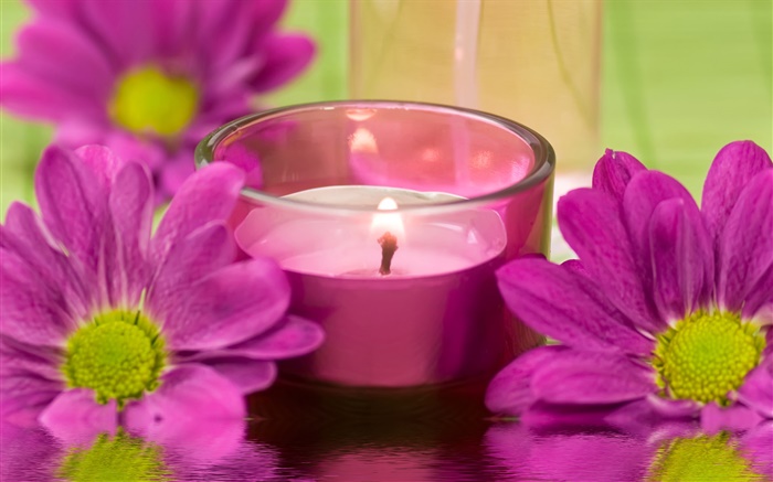 Lila Chrysantheme Blumen, Kerzen, Feuer, SPA Thema Hintergrundbilder Bilder