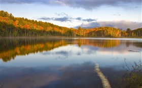 Ruhige See, Bäume, Nebel, Morgen, Herbst