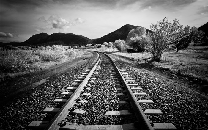 Eisenbahn, Bäume, Berge, schwarz weiß Stil Hintergrundbilder Bilder