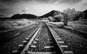Eisenbahn, Bäume, Berge, schwarz weiß Stil HD Hintergrundbilder
