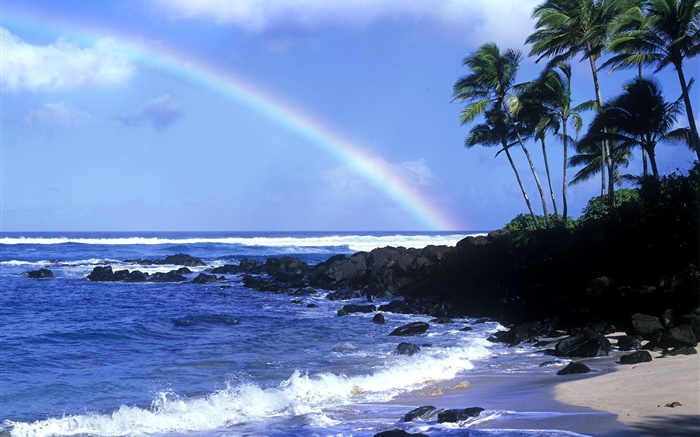Regenbogen , blaues Meer, Küste, Palmen, Hawaii, USA Hintergrundbilder Bilder
