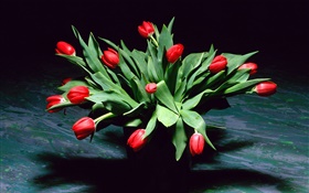 Rote Tulpe Blumen, Strauß, Vase HD Hintergrundbilder