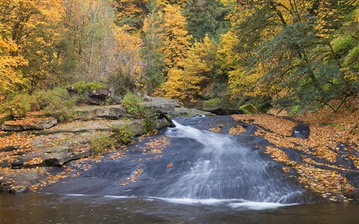 Fluss, Bäume, Herbst Hintergrundbilder Bilder