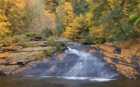 Fluss, Bäume, Herbst HD Hintergrundbilder