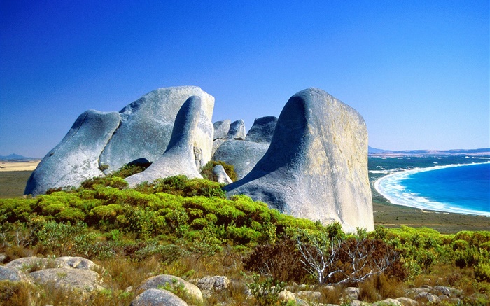 Felsen, Gras, Küste, blaues Meer, Australien Hintergrundbilder Bilder
