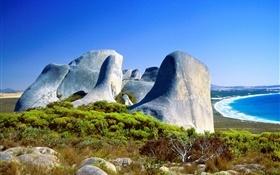 Felsen, Gras, Küste, blaues Meer, Australien HD Hintergrundbilder