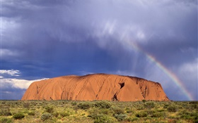 Rocks Berg, Gras, Wüste, Australien HD Hintergrundbilder