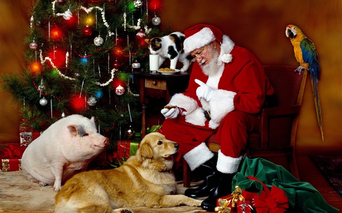 Santa Claus und Tiere, Weihnachtsbeleuchtung Hintergrundbilder Bilder